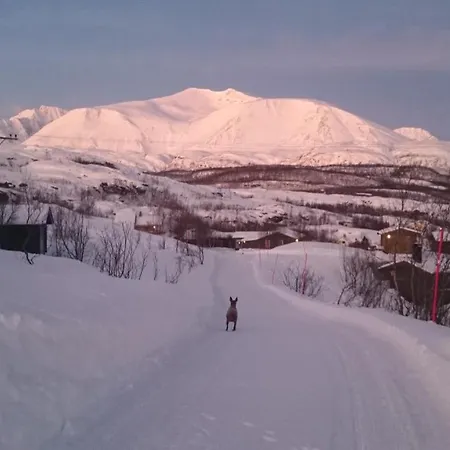 Lyngen Alps Panorama Domek letniskowy Lyngseidet